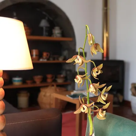 Nanna's Country Semesterbostad *