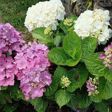 Nanna's Country Semesterbostad