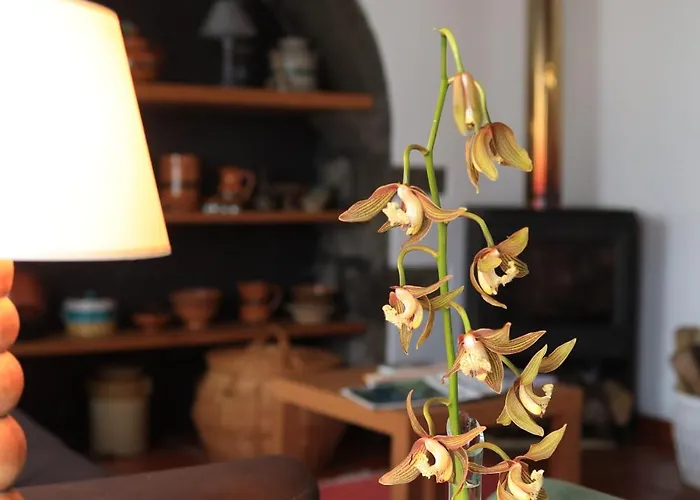 Nanna's Country Holiday home *